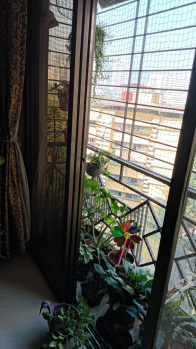 Flats & Apartments for Rent in Mulund East, Mumbai (400 Sq.ft.)