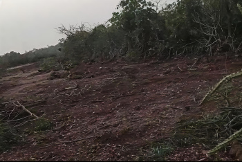 Residential Plot for Sale in Pawas, Ratnagiri (10000 Sq.ft.)