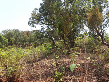 Industrial Land / Plot for Sale in Ghodbunder Road, Thane (8093.72 Sq.ft.)
