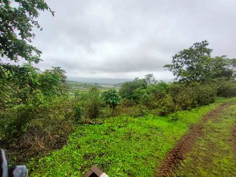 5 Acre Agricultural/Farm Land for Sale in Igatpuri, Nashik