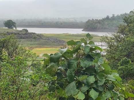 15 Guntha Residential Plot for Sale in Igatpuri, Nashik