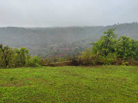 23 Acre Agricultural/Farm Land for Sale in Igatpuri, Nashik