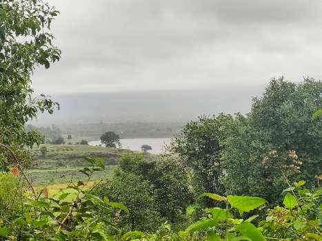 5 Acre Residential Plot for Sale in Igatpuri, Nashik (79 Guntha)