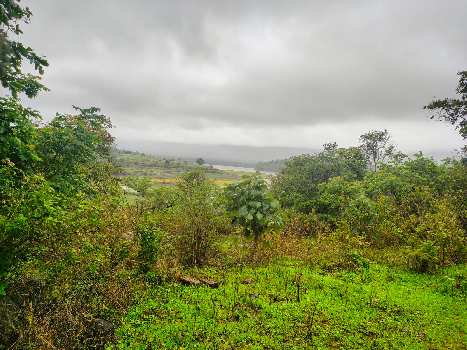 10 Acre Residential Plot for Sale in Igatpuri, Nashik