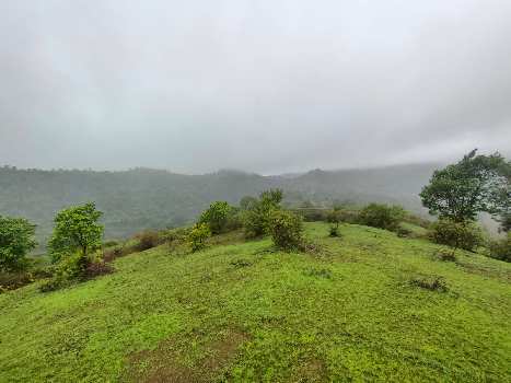 3.3 Acre Residential Plot for Sale in Shirol, Kolhapur