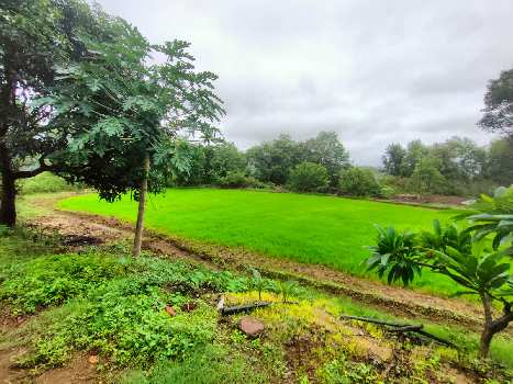 4 Acre Residential Plot for Sale in Shirol, Kolhapur
