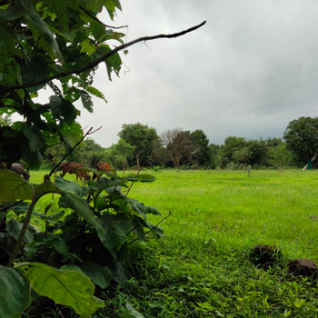100 Ares Residential Plot For Sale In Sinnar, Nashik