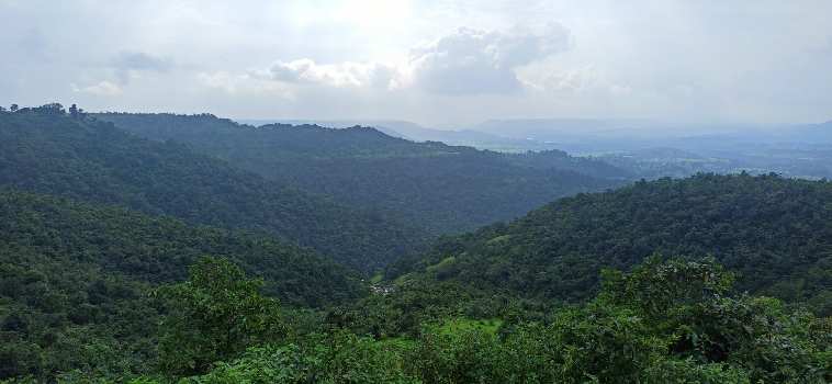 135 Ares Residential Plot for Sale in Igatpuri, Nashik