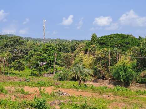 3 Acre Residential Plot For Sale In Alibag, Raigad