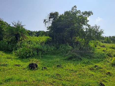 16 Acre Residential Plot For Sale In Alibag, Raigad