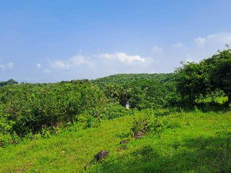 2 Acre Residential Plot For Sale In Agarsure, Raigad