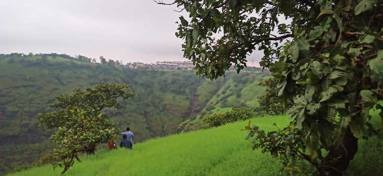 8 Acre Residential Plot for Sale in Alibag, Raigad