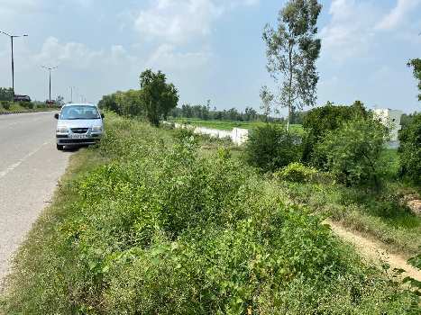 8 bigha land on Moradabad Rampur bypass