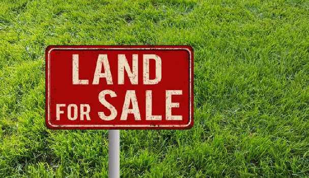 100 bigha land for sale on Delhi Road Moradabad