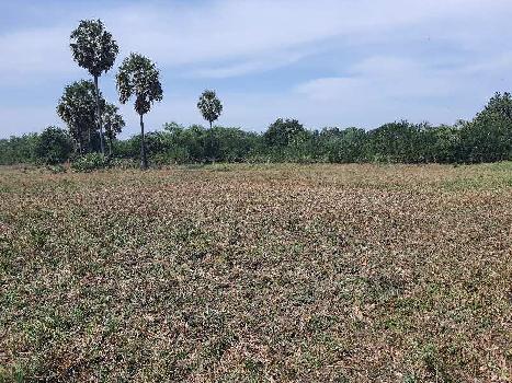 12 Acre Agricultural/Farm Land for Sale in Umbergaon, Valsad