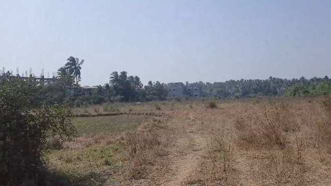 3.5 Acre industrial land in Umargaon