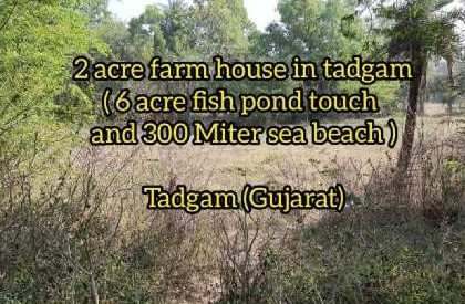 2 acre farm house in Tadgam (Gujarat) (4 acre fish pond touch and 300 miter, sea beach view)  115/ Sq ft. price (1 Cr.)  Clea