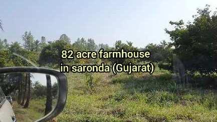 82 Acre Agricultural/Farm Land for Sale in Umbergaon, Valsad