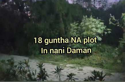 18 Guntha farm lend in Nani Daman