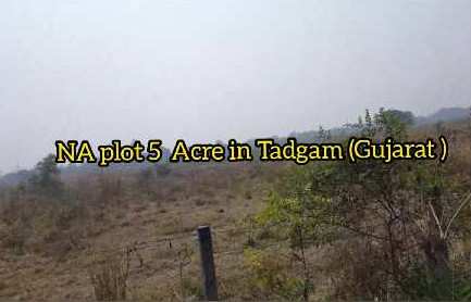 Na Plot 5 Acre in Tadgam