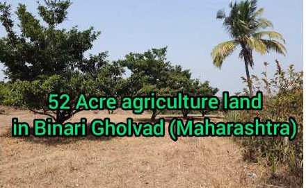 52 Acre agriculture land In Binari gholvad