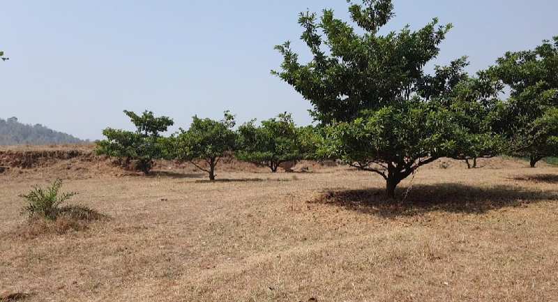 52 Acre agriculture land In Binari gholvad