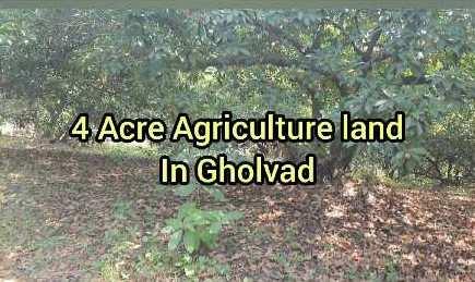 4 Acre agriculture land in Gholvad