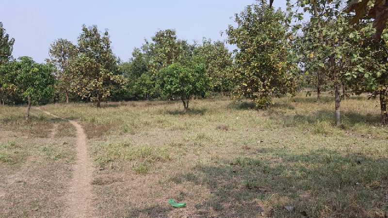 25 Acre industrial land in angam Bhilad