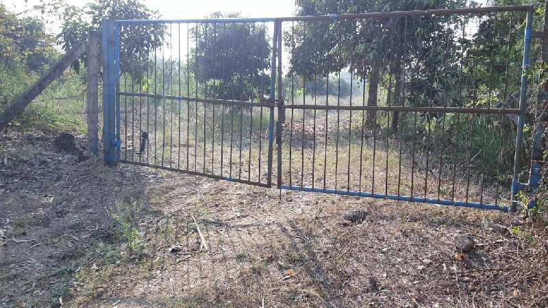 2.3 Acre near pond touch agriculture land In govada, Umargaon.