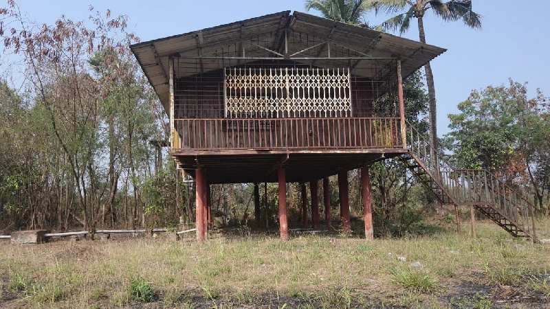 55 Guntha farm house in Dahanu Dhumketu road chikhla