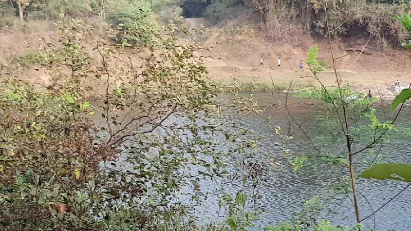 12 Acre agriculture land river touch in Sanjan (Gujarat)