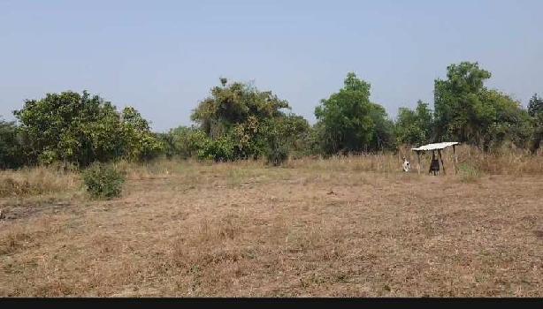 Property for sale in Wada, Palghar