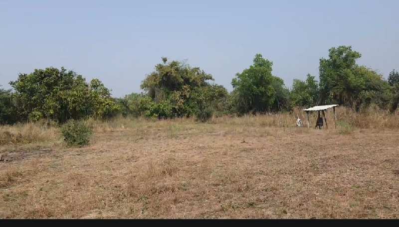 1 Acre Commercial Lands /Inst. Land for Sale in Wada, Palghar