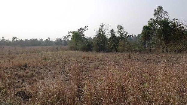 1 Acre Agricultural/Farm Land for Sale in Rakholi, Silvassa