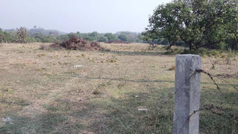 3.5 Acre residential area in Umbergaon (Gujarat)