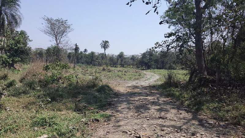 NA plot 3 Acre In Bhilad highway touch (Gujarat)