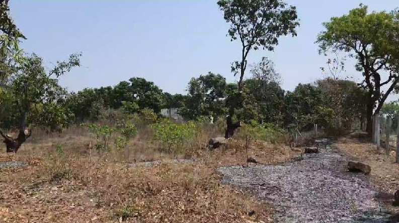Industrial NA plot 24 Acre in khatalwada (Gujarat)