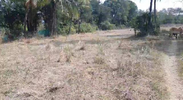 1 Acre Industrial Land / Plot for Sale in Daman