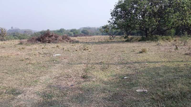 1 Acre Agricultural/Farm Land for Sale in Bordi, Palghar