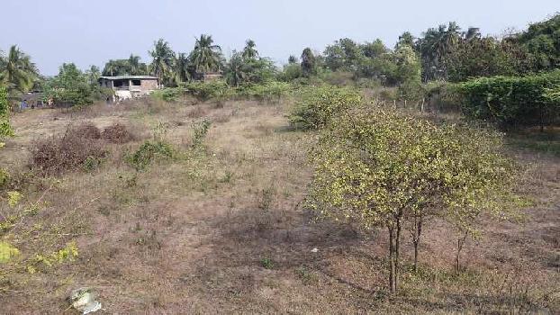 1 Acre Industrial Land / Plot for Sale in Palghar West, Palghar