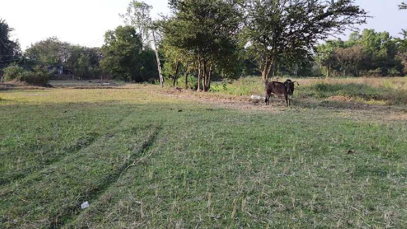1 Acre Industrial Land / Plot for Sale in Wada, Palghar