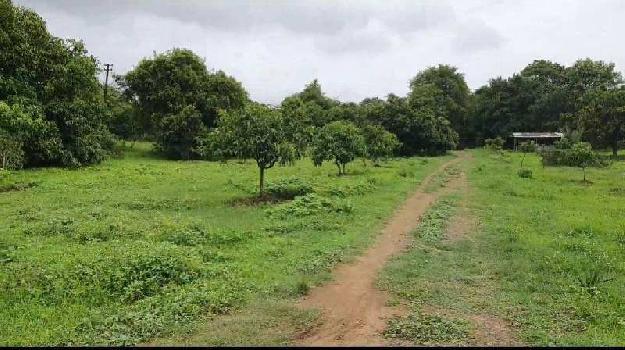 13 Acre Agricultural/Farm Land for Sale in Vevoor, Palghar