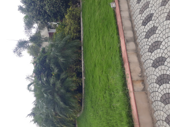 1100 Sq.ft. Residential Plot for Sale in Super Corridor, Indore