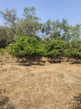 Property for sale in Kelwa, Palghar