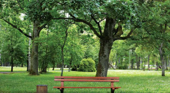 Property for sale in Nandore, Palghar