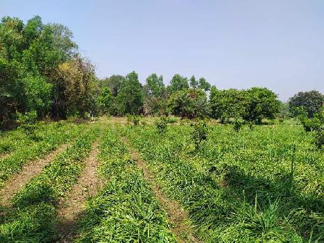 15 Guntha Agricultural Land in Vangaon (E) Dahanu , Palghar