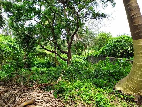 32 Guntha Agricultural/Farm Land for Sale in Palghar West, Palghar