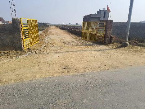 100 Sq. Yards Residential Plot For Sale In Sector 11, Noida