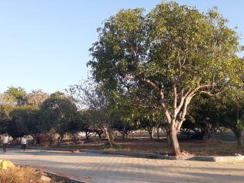 Property for sale in Mathur, Tiruchirappalli