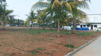 Property for sale in Panjapur, Tiruchirappalli